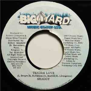Shaggy - Tender Love download flac