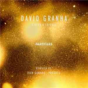David Granha - I Need A Toydoll download flac