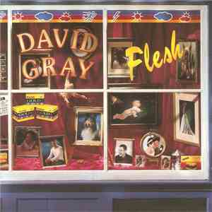 David Gray - Flesh download flac
