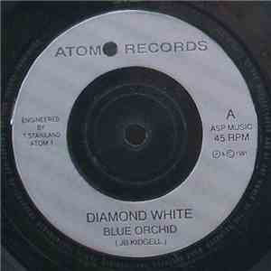 Diamond White - Blue Orchid download flac