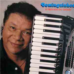 Dominguinhos - O Trinado Do Trovão download flac