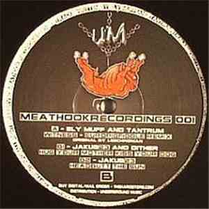 Ely Muff / Tantrum  / Jakub 23 / Dither  - Meathook Recordings 001 download flac