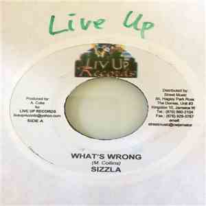 Sizzla - What's Wrong download flac