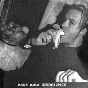 Babybird - Babybird Live in Koln at the Luxor download flac