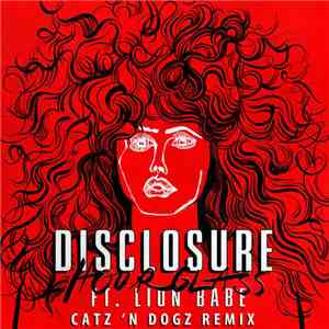 Disclosure  - Hourglass (Catz 'N Dogz Remix) download flac