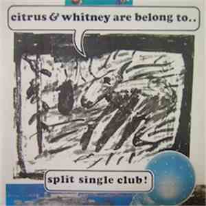 Citrus  / Whitney - Let's Split download flac