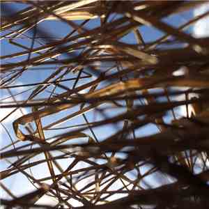 Gallery Six / Stabilo - Drafty download flac