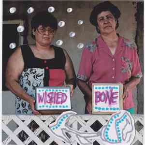 Wished Bone - Pseudio Recordings download flac