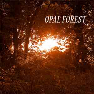 WMRI - Opal Forest download flac