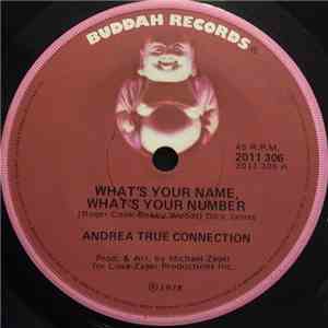 Andrea True Connection - What's Your Name, What's Your Number download flac