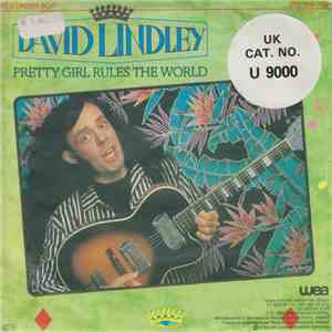 David Lindley - Pretty Girl Rules The World download flac