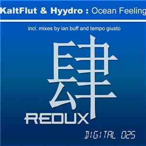 KaltFlut & Hyydro - Ocean Feeling download flac
