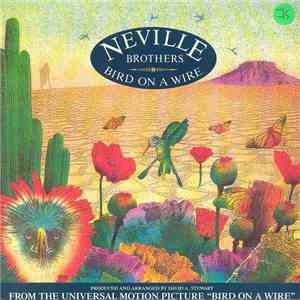 Neville Brothers - Bird On A Wire download flac