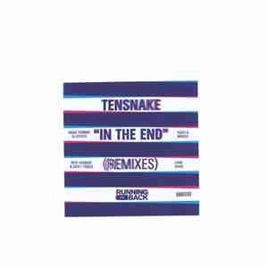 Tensnake - In The End Remixes download flac