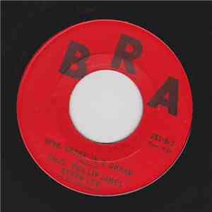 The Blues Busters / Phillip James / Byron Lee And The Dragonaires - Wings Of A Dove download flac