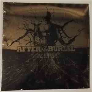 After The Burial - Rareform download flac