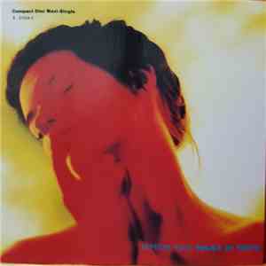 Depeche Mode - Policy Of Truth download flac