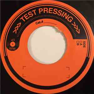 Nas - The World Is Yours (Q-Tip Remix) / It Ain’t Hard To Tell (Large Professor Remix) download flac