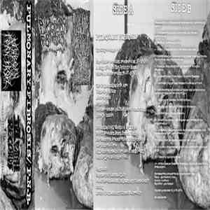 Pulmonary Fibrosis / Postmortem Neurofetish Bionecrosis - Pulmonary Fibrosis / P.N.B. download flac