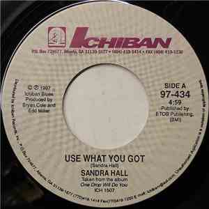 Sandra Hall - Use What You Got download flac