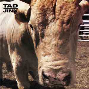 Tad - Jinx download flac