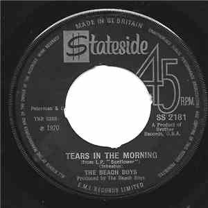 The Beach Boys - Tears In The Morning download flac