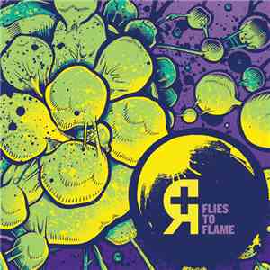 Rosetta  - Flies To Flame download flac