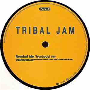 Tribal Jam - Remind Me download flac
