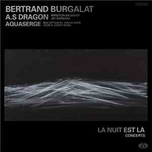 Bertrand Burgalat - La Nuit Est Là download flac
