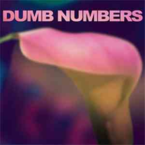 Dumb Numbers - Dumb Numbers download flac
