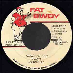 Johnny Lee - There You Go download flac