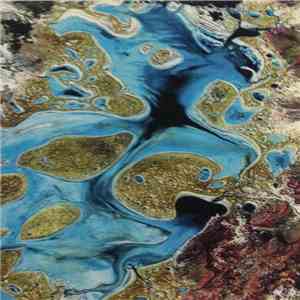 Baptism Of Uzi - Baptism Of Uzi download flac