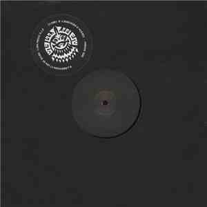 J. Robinson  - Mango Dub / Lion Music VIP download flac