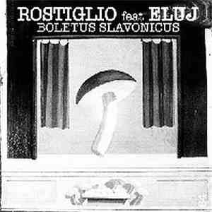 Rostiglio feat. Eluj - Boletus Slavonicus download flac