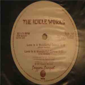 The Icicle Works - Love Is A Wonderful Colour download flac