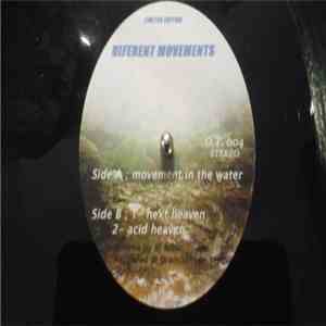 Dj Ninu - Diferent Movements download flac