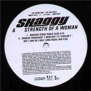 Shaggy - Strength Of A Woman download flac