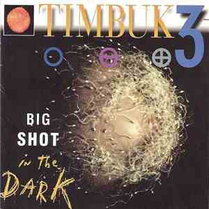 Timbuk 3 - Big Shot In The Dark download flac