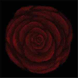 Young Widows - Future Heart download flac