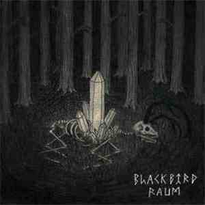 Blackbird Raum / Hail Seizures - Split download flac