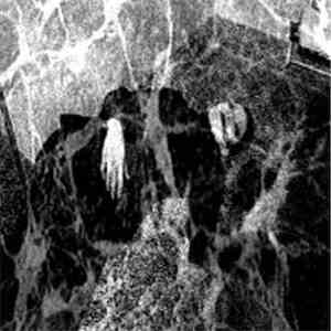 Dead Body Collection / Churner - A Body Was All That Was Left download flac