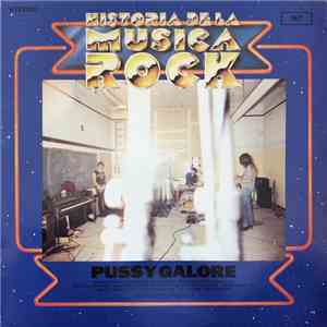Pussy Galore  - Historia De La Musica Rock download flac
