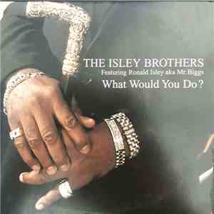 The Isley Brothers, Ronald Isley Aka Mr. Biggs - What Would You Do ? download flac