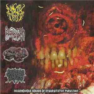 Anal True / Scolopendra  / Tamagotchi Is Dead / Agonizing Excess Bowel Acid Dissolving The Intestines Causing Massive Organ Trauma - Inharmonic Sounds Of Regurgitative Purulence download flac