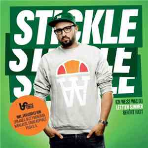 DJ Stickle - Ich Weiß Was Du Letzten Sommer Gehört Hast download flac