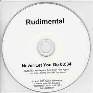 Rudimental - Never Let You Go download flac