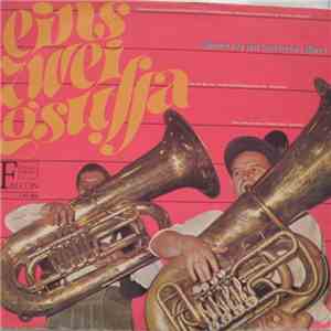 Unknown Artist - Eins Zwei G'Suffa - Stimmung Am Laufenden Band download flac