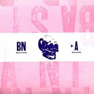 Bastard Noise + Antennacle - BN + A download flac