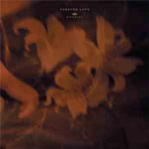 清春 - Forever Love download flac