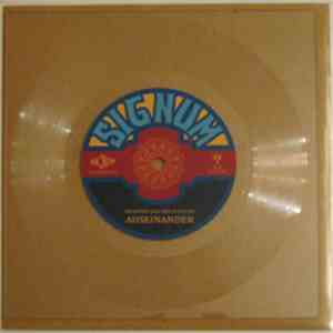 Maarten van der Vleuten - Auseinander download flac